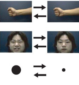 Увеличете силата си, като гледате вашите мускули по време на тренировка