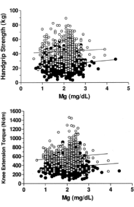Епидемиологично проучване: повече мускулна сила с повече магнезий