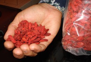 Шепа годжи бери (лициум) предпазва тестостерона при стрес