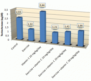 testosteronevitamincexercise