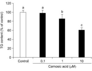 carnosicacidweightlossdrug