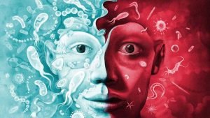 xenobg veselin velichkov