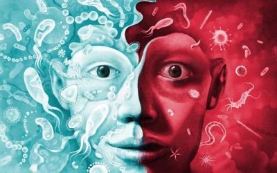 De ce „Mănâncă mai puțin și fă mai multă mișcare“ este cel mai rău sfat posibil pentru sănătate și reducerea grăsimii corporale?