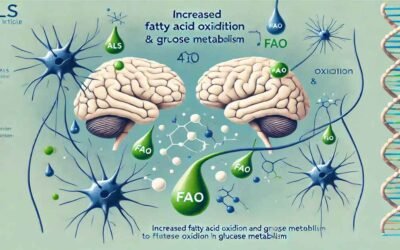 ALS е свързана с повишено окисление на мазнините (FAO), като повишаването на глюкозата може да я лекува
