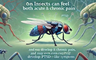 Насекомите могат да усещат остра и хронична болка, дори могат да развият посттравматично стресово разстройство при насекомите